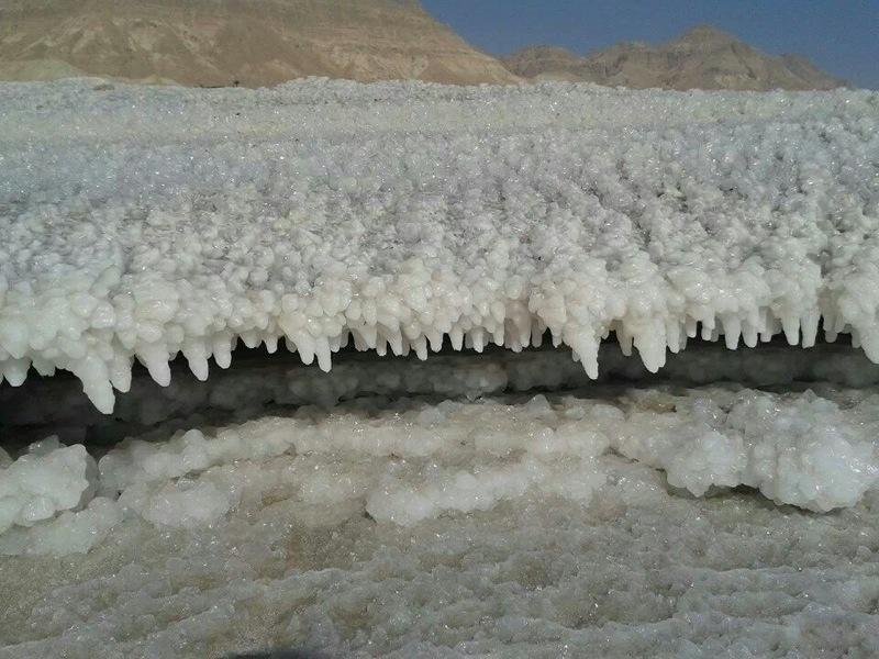 Villa Nadia Hosting Dead Sea Neve Zohar Exterior foto