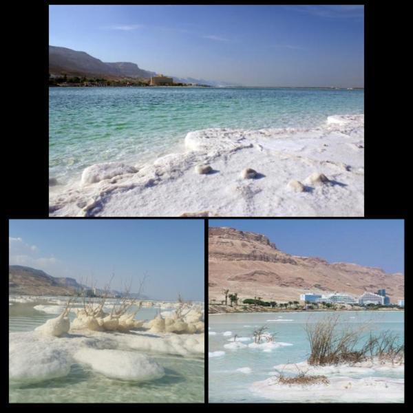 Villa Nadia Hosting Dead Sea Neve Zohar Exterior foto