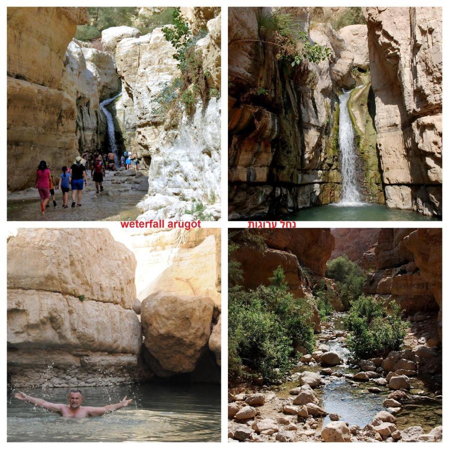 Villa Nadia Hosting Dead Sea Neve Zohar Exterior foto